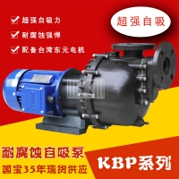 Máy bơm hóa chất đầu nhựa KB40011L
