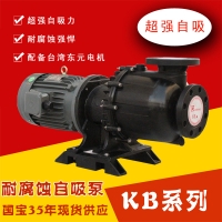 Máy bơm hóa chất KB75052