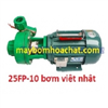 Máy bơm hóa chất 25FP 10