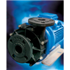 Máy Bơm Hóa Chất Mini Tmag 6LC 2HP 50Hz