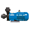 Máy Bơm Hóa Chất Mini Tmag TM1CE 0,065kw 60Hz